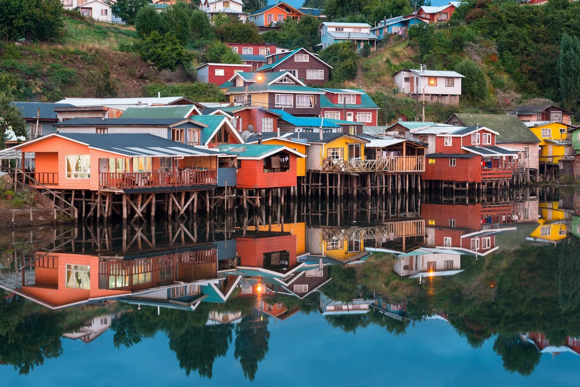 Oregon Chiloé